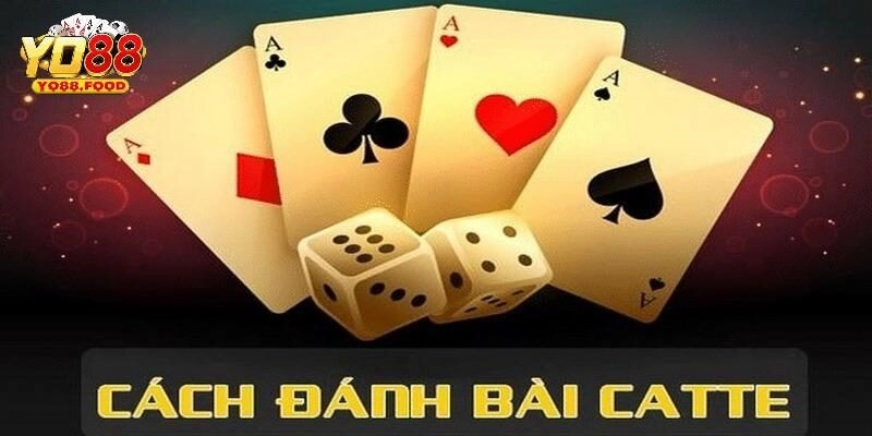Hướng chơi catte Yo88 chuẩn chỉnh cho bạn mới