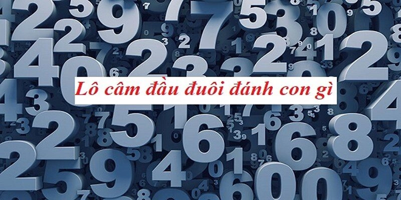 Mẹo Đánh Lô Đầu Đuôi Dành Cho Hội Viên Mới Gia Nhập meo danh lo dau duoi la gi 1
