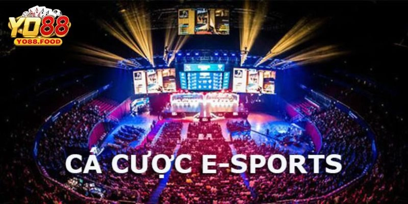 Hướng dẫn quy trình cá cược esports tại Yo88