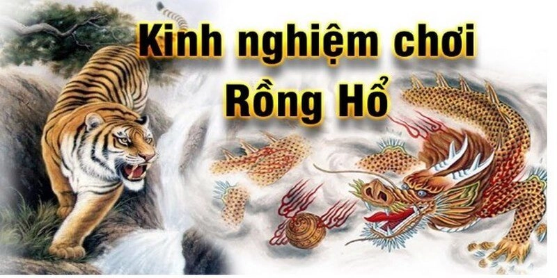 Mẹo Chơi Rồng Hổ Bất Bại - Áp Dụng Ngay Để Tối Ưu Lợi Nhuận! Một số mẹo chơi rồng hổ cực hay dành cho người mới