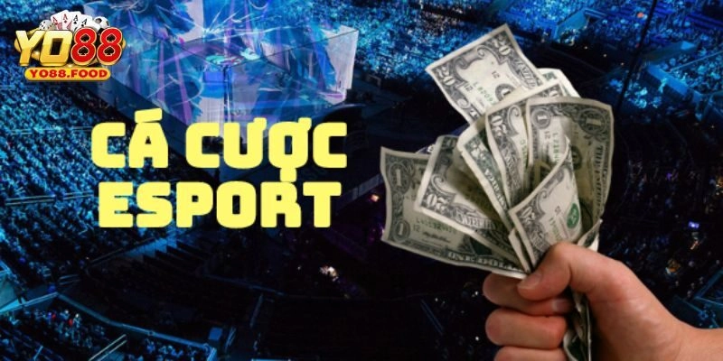 Bật mí cá cược esports thành công mà người chơi nên biết