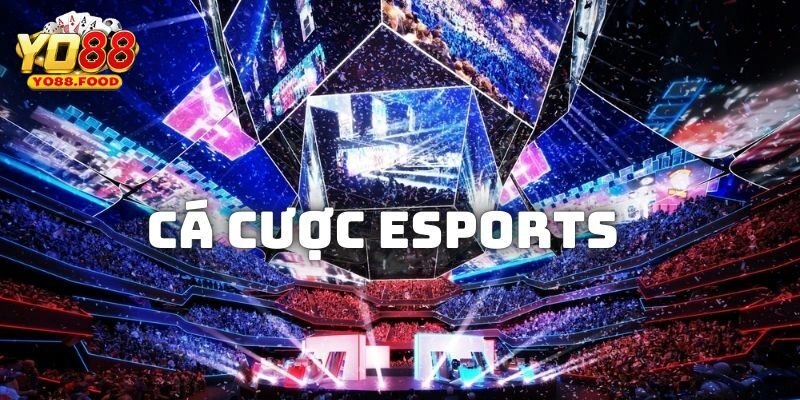 Cá Cược Esports Yo88: Địa Chỉ Chinh Phục Hàng Triệu Game Thủ Cá Cược Esports Yo88 - Địa Chỉ Chinh Phục Hàng Triệu Game Thủ